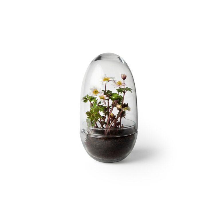 Grow Vase Medium Klar