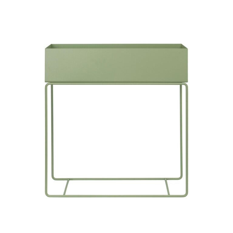 Plant Plantekasse Tea Green