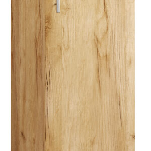 VCM NORDIC Engalo L reol til cd'ere og dvd'er, m. lås, 1 låge og 10 hylder - natur træ